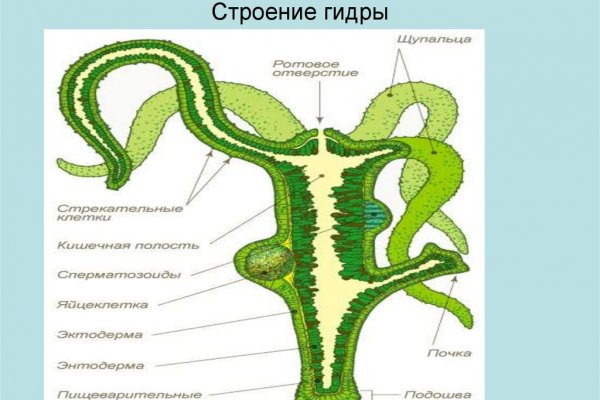 Что случилось с кракеном маркетплейс