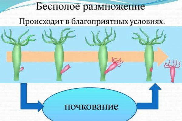Кракен шоп это