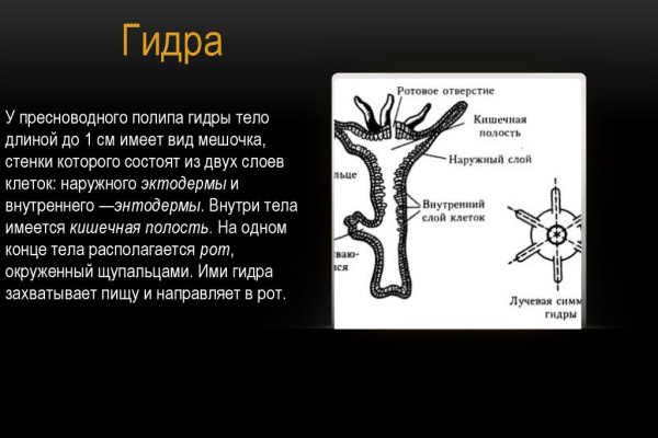 Что можно купить в кракене